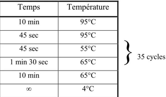 Tableau 3: Programme PCR de génotypage. 