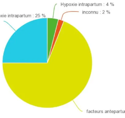 Figure  2 :  Importance  relative  des  différentes  agressions  antepartum  dans  l’EN