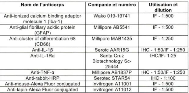Tableau 2 : Anticorps utilisés pour anayses en IHC et/ou IF. 