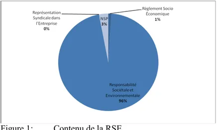 Figure 1:  Contenu de la RSE 