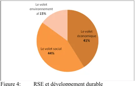 Figure 4:  RSE et développement durable 