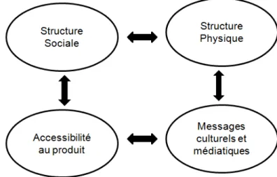 Figure 7 : Structures étudiées dans le modèle de Cohen et al. (2000) 