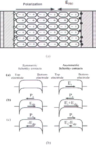 Figure  1.6 (a) The interfacial effect on  the photo voltage in  a  ferroelectric material showing depolarized field  (E6o) t25l  (b) Diagram of metal-film-metal having symmetric and asymmetric Schottky contacts indicating the interface electric field Et [