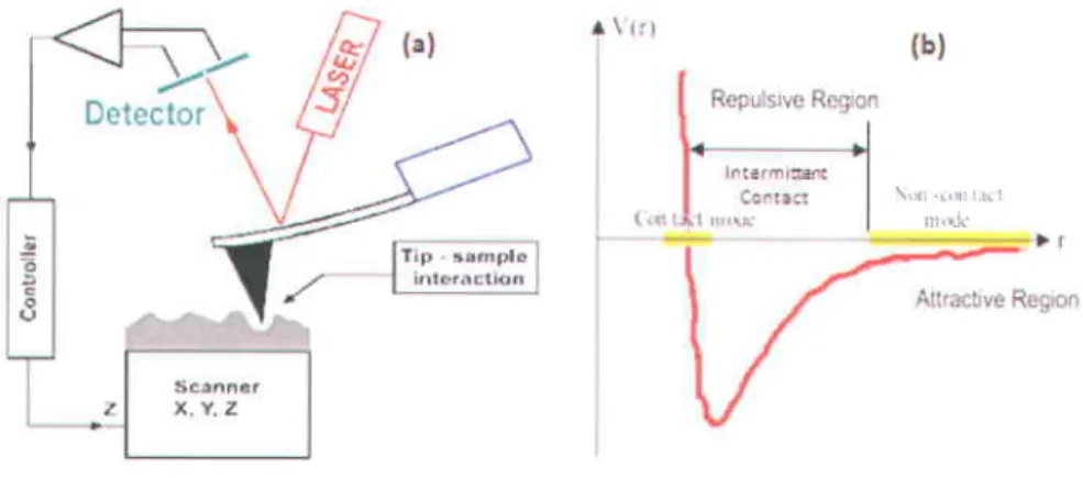 Figure  2.a  @) working  principle  of  AFM  technique (b)  Force- distance curve plotted  as a function of tip distance from the sample [16]