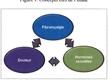 Figure 1.  Concepts clés de l'étude 