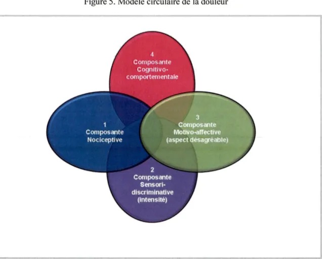 Figure 5. Modèle circulaire de la douleur 