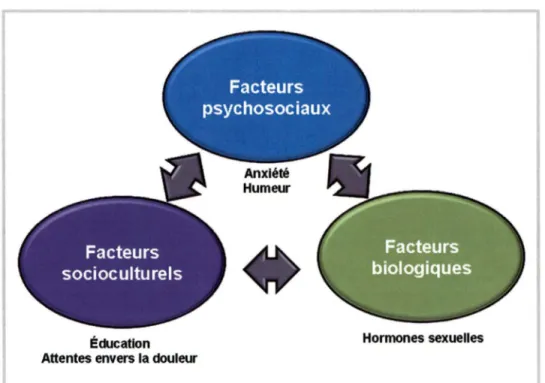 Figure 7. Modèle biopsychosocial pouvant expliquer les différences entre les hommes  et les femmes dans la perception de la douleur 