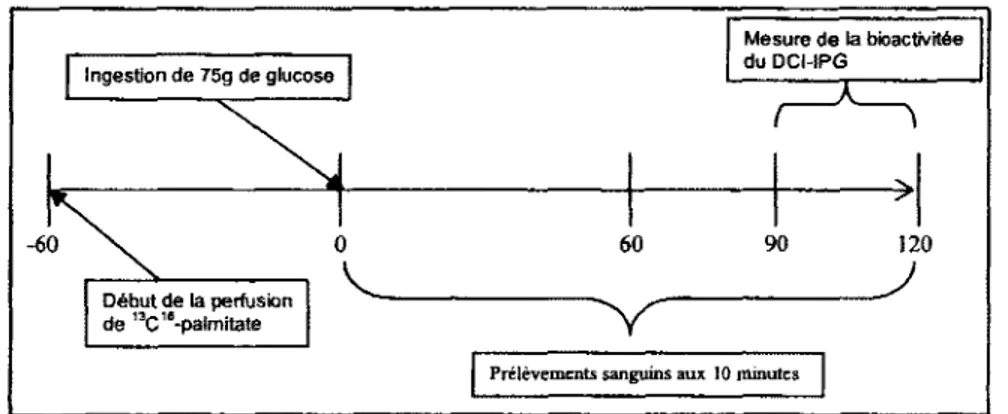 Figure 10 : Hyperglycemic provoquee orale 