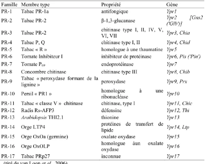 Tableau 4.  Les familles de protéines reliées à l’agent pathogène (PR) 