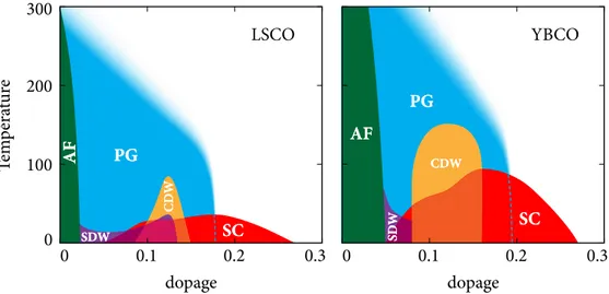 Figure 3. Diagrammes de phases expérimentaux de LSCO et YBCO adaptés des données expérimentales compilées dans la référence [36] pour les températures de transitions de l’antiferromagnétisme (AF), de la supraconductivité (SC), du pseudogap (PG), de l’onde 