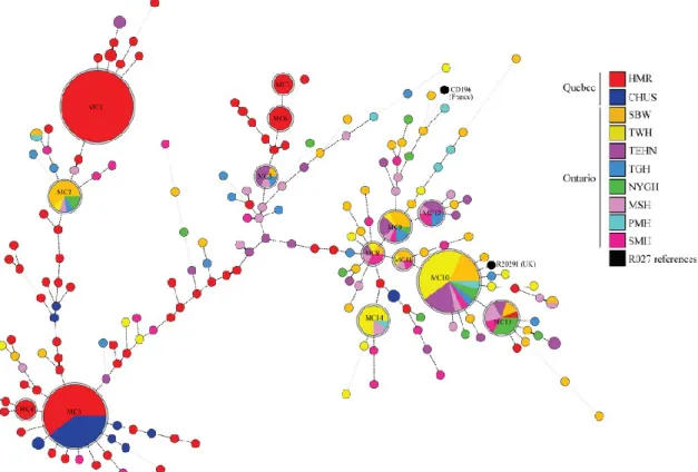 Figure 1. Minimum-spanning tree of MLVA data from 450 R027 C. difficile isolates. The clustering of  MLVA profiles was done using a Manhattan coefficient (MC) and each circle represents a unique MLVA  complex