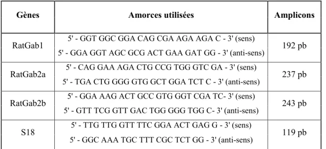 Tableau 2 : Liste des amorces utilisées pour les RT-PCR. 