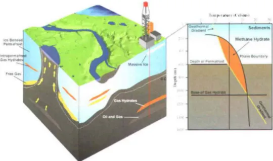 FIGURE  1.2  Illustration de la zone de stabilité des hydrates de gaz sous le pergélisol  (modifié  de  Dallimore  et al