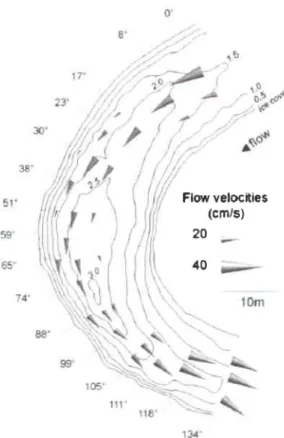 Figure 2.16  Evolution de la vitesse d'écoulement moyenne dans un méandre et profondeur sous le  couvert  de glace (en mètres) (Demers et al., 2010) 