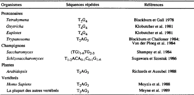 Tableau 1: Séquence des répétitions télomériques de différents organismes 