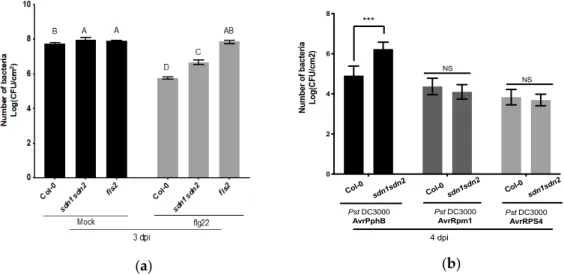 Figure  2.1  sdn1sdn2  double mutant is compromised in FLS2-  and RPS5-mediated  resistance against respectively Pst DC3000 and Pst DC3000 expressing AvrPphB in  Arabidopsis