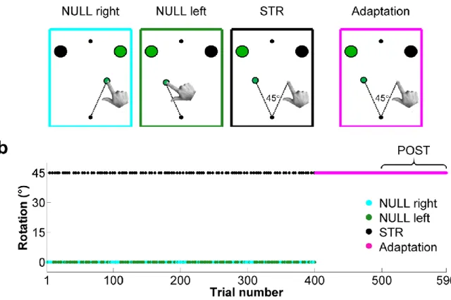 Figure 4.1 - Experimental conditions and perturbation schedule.  