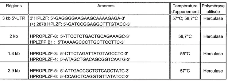 Tableau 1.  Liste des amorces utilisées pour amplifier les différentes  régions du gène PLZF et conditions de PCR 
