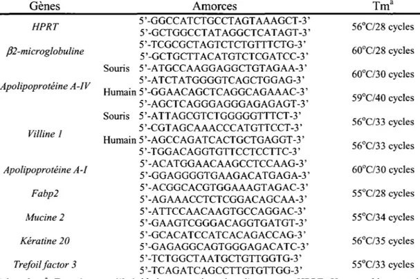 Tableau 1. Amorces et amplification des gènes cibles par RT-PCR  Gènes  HPRT  /32-microglobuline  Apolipoprotéine A-IV  Villine 1  Apolipoprotéine A-/  Fabp2  Mucine 2  Kératine 20  Trefoil factor 3  Amorces 