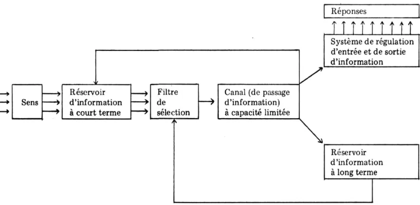 Fig. 2 — Diagramme représentant les mécanismes proposés par Broadbent: l'organisme humain  est comparé à un système sélectif de réception et d'assimilation d'information 