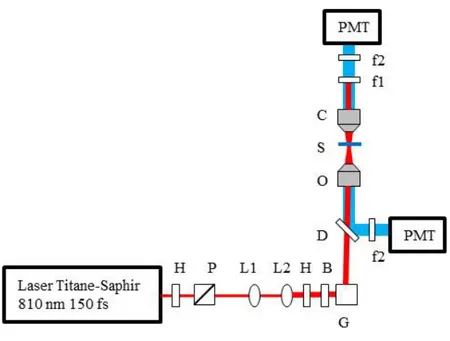 Figure 4.1  Schéma du montage expérimental utilisé pour les expériences. H : Lame demi-onde ; P : Prisme de Glan ; L : Lentille ; G : Miroirs Galvanométriques ; D : Miroir dichroïque ; O : Objectif ; S : Échantillon ; C : Condenseur ; f : Filtre ; PMT : Tu