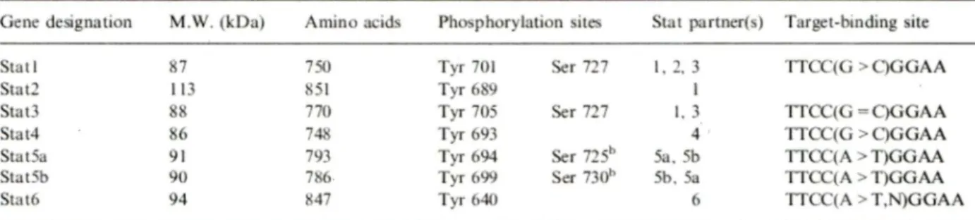 Tableau 1. Famille des facteurs de transcription STAT. 