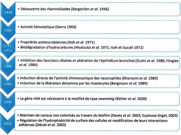 Figure 5: Chronologie des premières découvertes sur les différents rôles majeurs des rhamnolipides