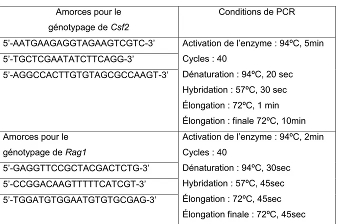 Tableau 1 : Détails du protocole de génotypage des souris Csf2.Rag1  Amorces pour le  