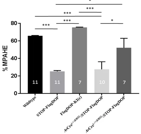 Figure  11:  Graphique comparatif des seuils moyens  de douleur d’origine thermique en  situation inflammatoire chez nos différentes souris de transgenèse obtenus au moyen du test  de Hargreaves