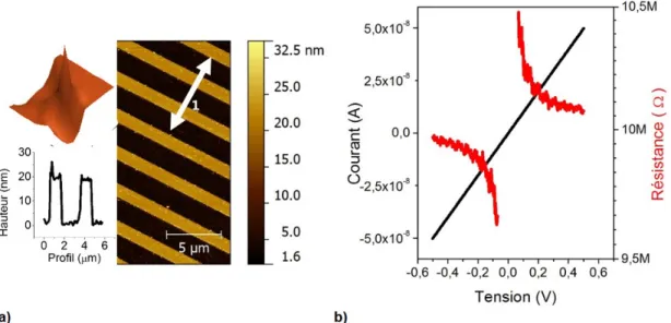 Fig. 2.6 – (a) Image de la topographie par AFM d’un réseau de calibration. L’image insérée en médaillon dans le coin supérieur gauche est celle d’une représentation tridimensionnelle d’une pointe déconvoluée