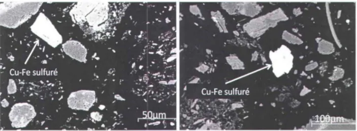 Figure 1.14  Photo prise au microscope  à  balayage électronique de particules de Cu dans la fraction  mince  des sédiments contaminés «250 IJm) 