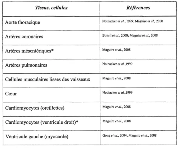 Tableau  ill:  Distribution des ARNm du récepteur UT dans le système cardiovasculaire du rat 