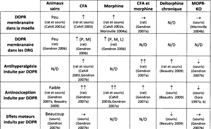 Tableau  2 :  Tableau  de  l'adressage  de  DOPR  et  des  effets  de  la  deltorp h ine   dans  différents  modèles  animaux