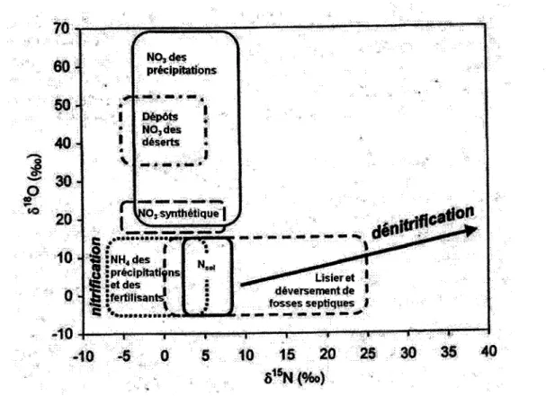 Figure  1.1  Valeurs B 15 N et B  18 0  typiques en  fonction  de différentes sources  de nitrate (modifiée  de  Kendall,  1998)