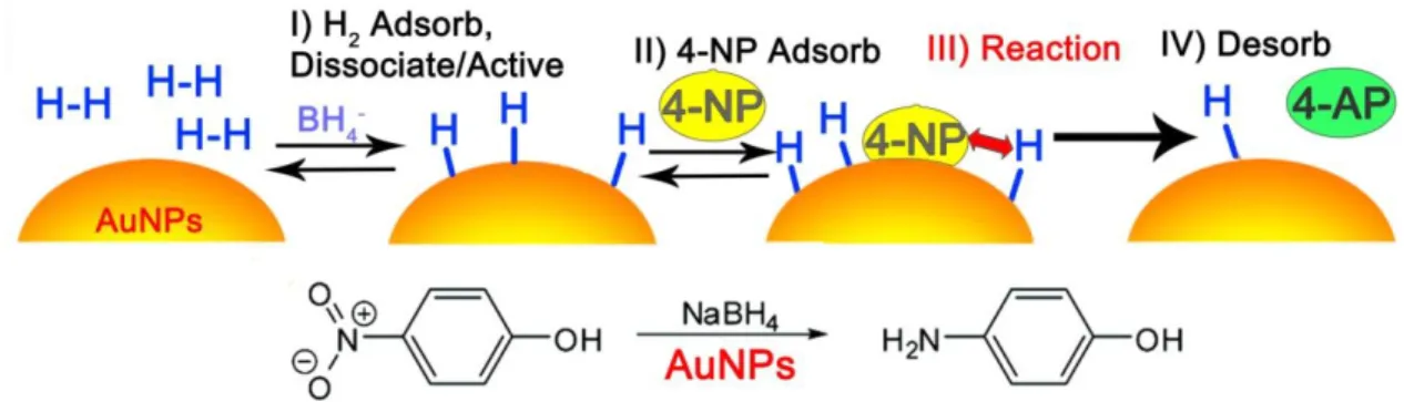 Figure 1.4 Mechanistic model of the reduction of 4-NP by borohydride in the presence of AuNP catalyst