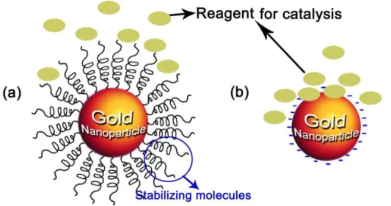 Figure  1.5  Schematic  illustration  of  the  access  of  reagent  molecules  to  the  surface  of  AuNPs  prepared  by  chemical method (a) and physical method (b) during catalysis