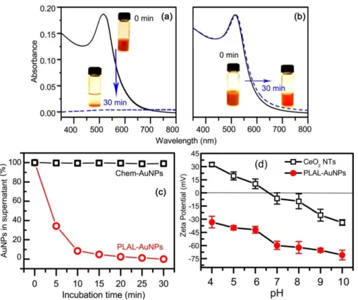 Figure  3.1 UV-Vis spectra of PLAL-AuNPs (a) and Chem-AuNPs (b) solution at 0 min (solid line) and 30  min (dash line) after the addition of CeO 2  NTs