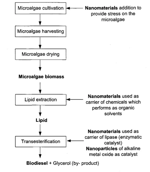 Figure  2.1  Nanotechnology  application in biodiesel production from heterotrophic microalgae
