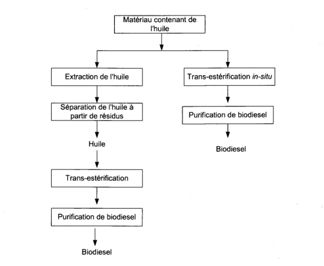 Figure 1.2  Schéma de trans-estérification  normale et  trans-estérification in-situ pour la production de biodiesel  à partir de matériel contenant de l'huile