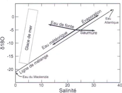Figure 3.2 - Synthèse des  phénomènes pouvant  modifier la  signature 6 18 0-5 des eaux  Arctiques