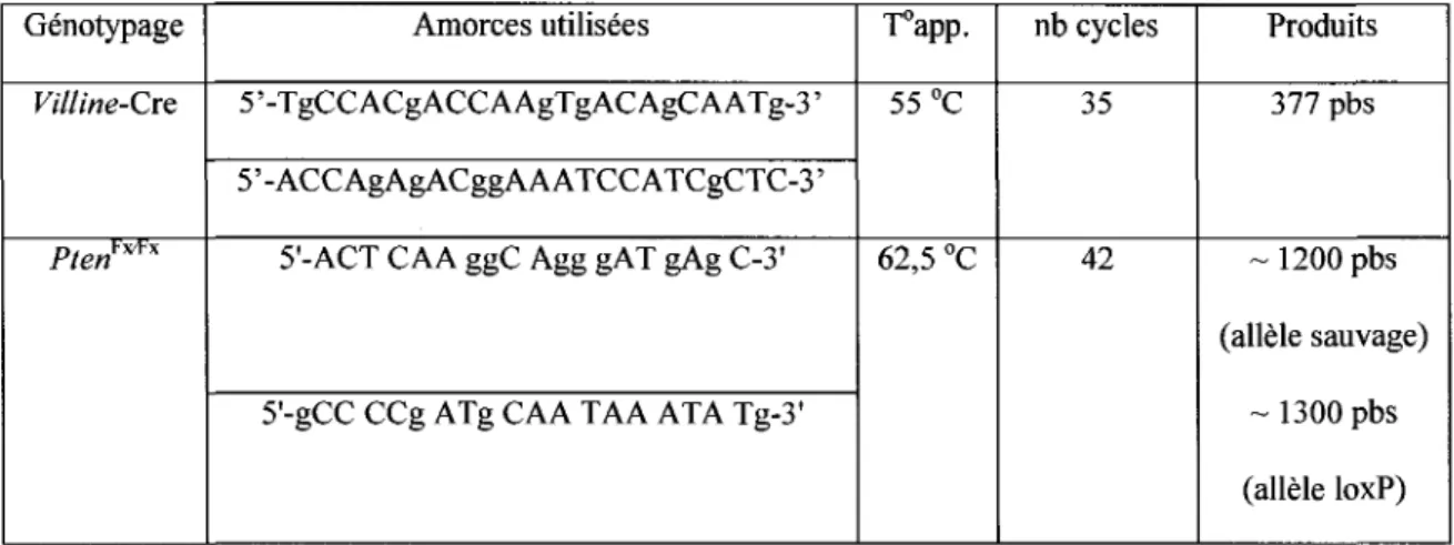 Tableau 3: Informations relatives au genotypage par PCR 
