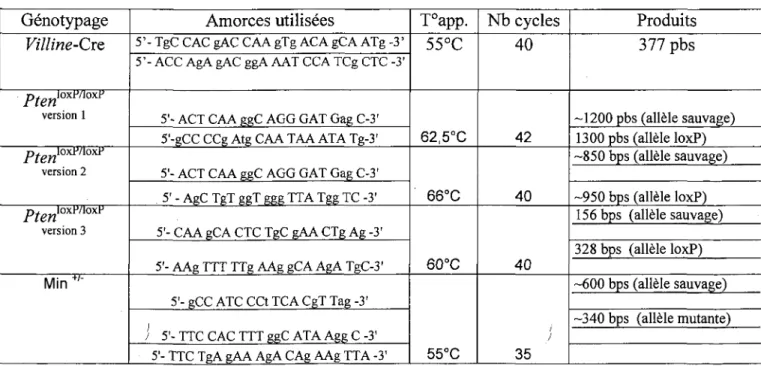 Tableau 4. Informations relatives au genotypage par PCR  Genotypage  Villine-CxQ  Pten loxMoxi&gt;  version 1  Pier?™*'™  version 2  /W oxP/loxlJ  version 3  Min   + '~  Amorces  utilisees 