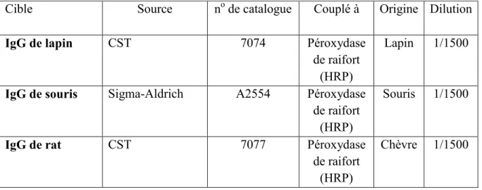 Tableau 6. Anticorps secondaires utilisés et leurs conditions d’utilisation