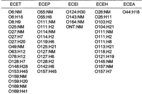 Tableau  2 :  Sérotypes  d' E.  coli  diarrhéiques  fréquemment  rencontrés et associés  à  des éclosions de gastro-entérites