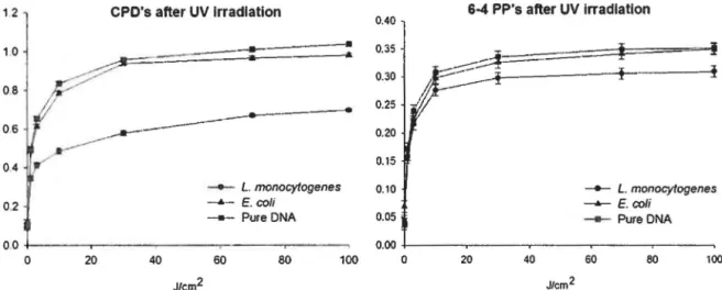 Figure 7 : Rate of CPD's and 6-4 PP's measured into pure DNA and DNA extracted from L