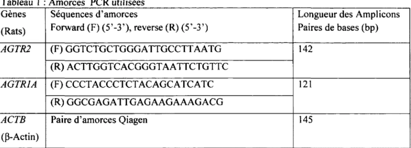 Tableau 1 : Amorces  PCR utilisées  Gènes 