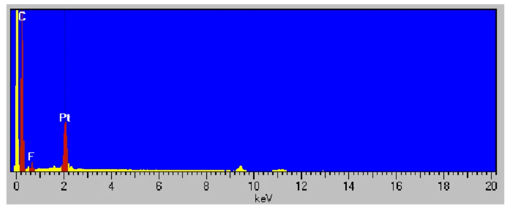 Figure 2.5 : ED spectrum of N 15 / T 00 cathode with peaks of C, F and Pt.  