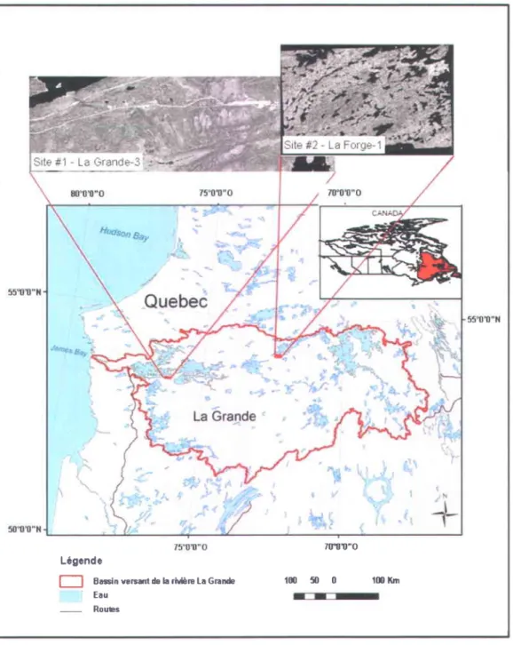 Figure 1.1  Localisation des deux sites d'6tudes  dans le bassin yersant de la riviire  La Grande (Qu6bec, Canada)