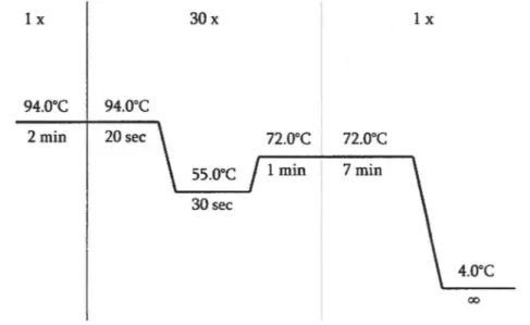 Figure 3.1  Schéma représentatif des températures et temps utilisés lors des réactions de polymérase en chatne