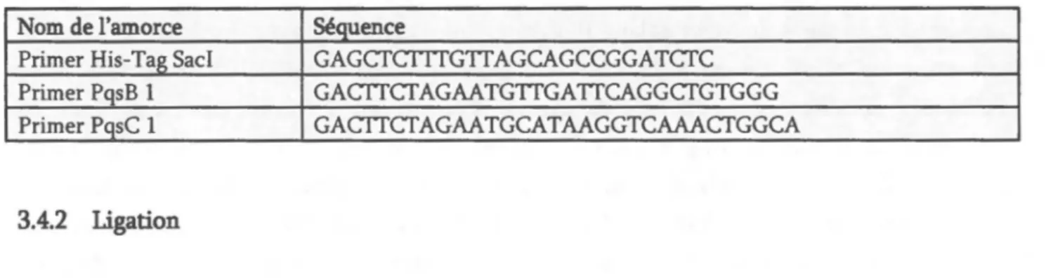 Tableau 3.1 Amorces utilisées pour l'amplification par PCR des gènes  pqsB-6His  et  pqsC-6His